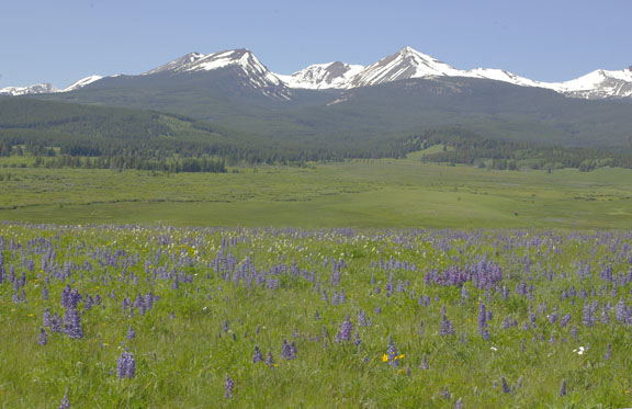 Anaconda range