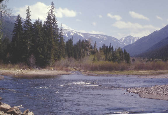 Beartooth mountains