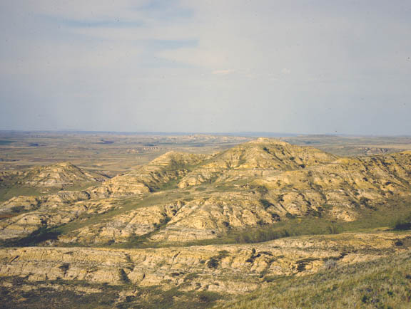 Big Sheep mountains