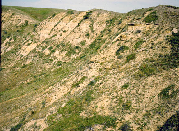 Big Sheep mountains