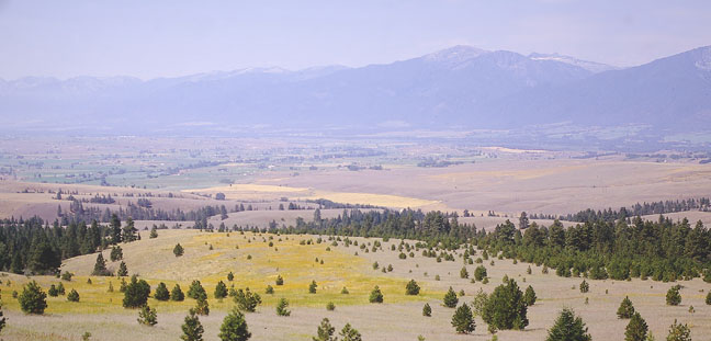 Bitterroot range