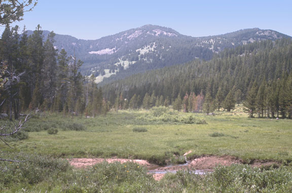 Boulder batholith