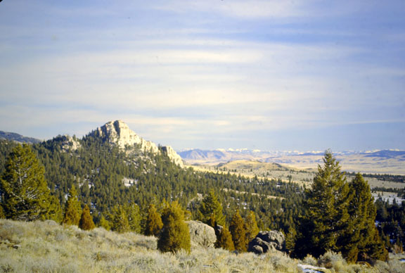 Boulder batholith