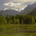 cabinaet_mts5_28_0903