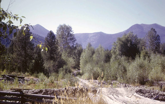 Cabinet mountains