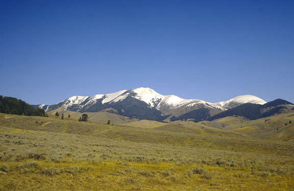 Centennial mountains