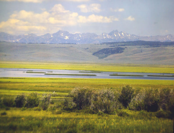 Centennial mountains