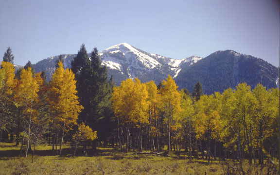Centennial mountains