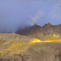 crazies_cottonwood_lk01