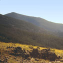 elkhorns1980