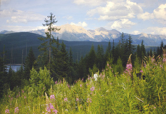 Flathead range