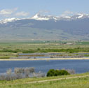 flint_cr_range04