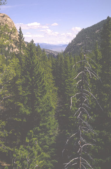 Flint Creek range