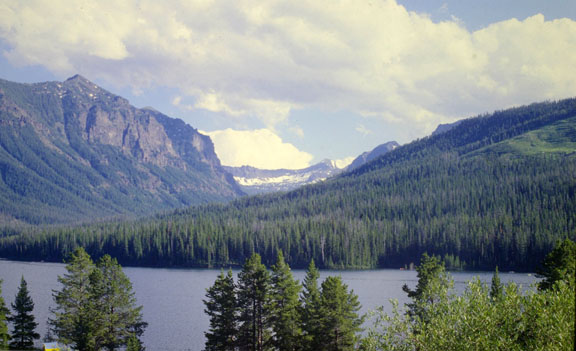 Gallatin range