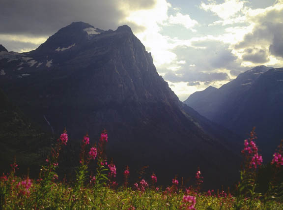 Lewis range