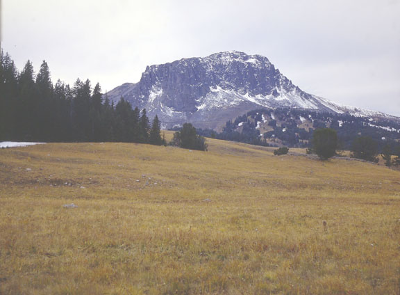 Gravelly range
