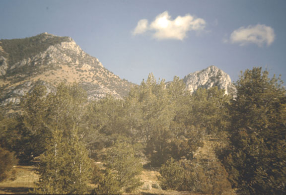 Horseshoe hills