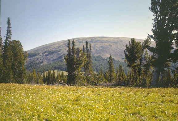 Little Belt mountains