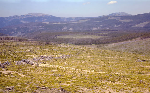 Little Belt mountains