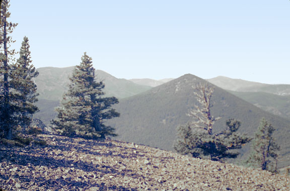 Little Rockies