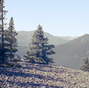 little_rockies1965_09