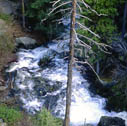 lost_creek1989_03w
