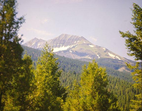 Madison range