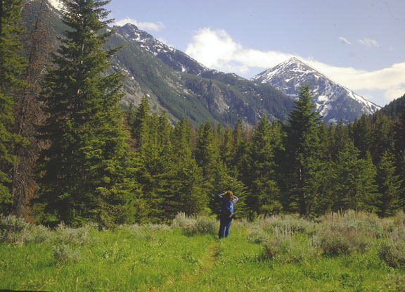 Madison range
