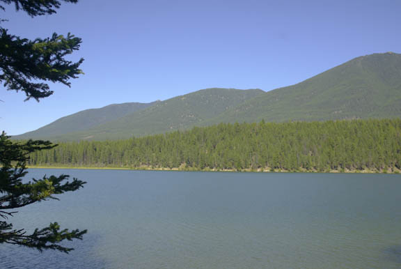 Whitefish range