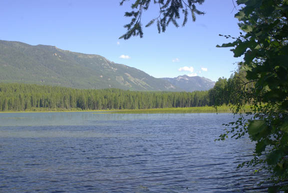 Whitefish range