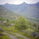 nevada_mts10