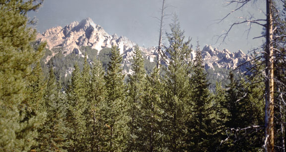 Pioneer mountains