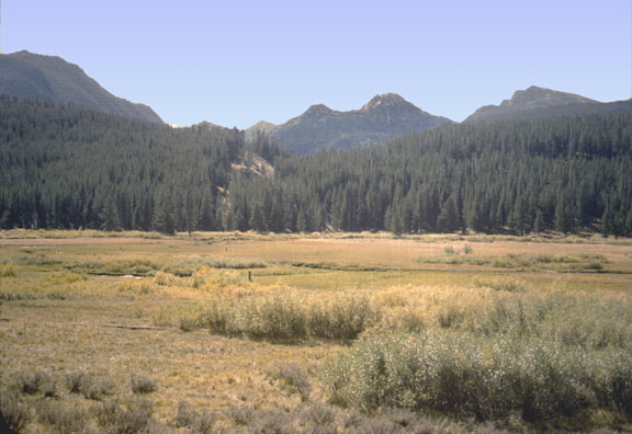 Pioneer mountains