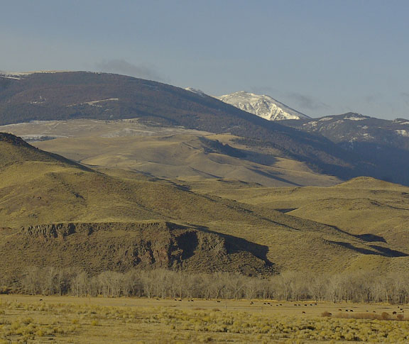 Pioneer mountains