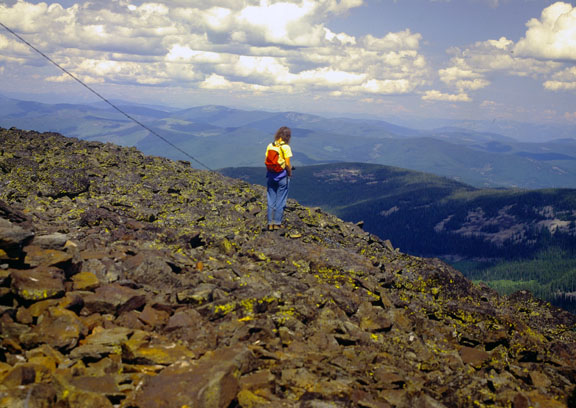 Purcell mountains