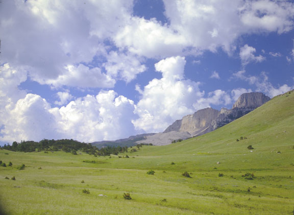 Sawtooth range