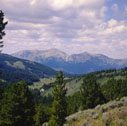 snowcrest_ra07