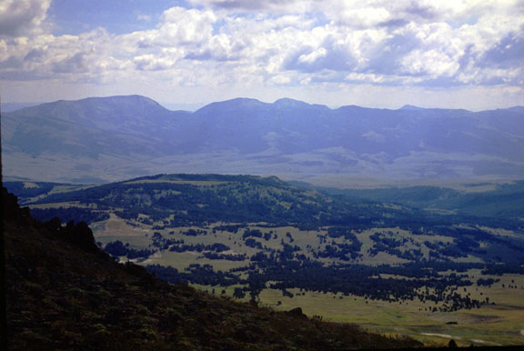 Snowcrest range