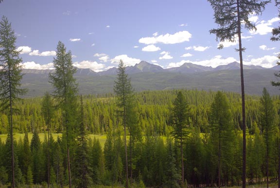 Swan range
