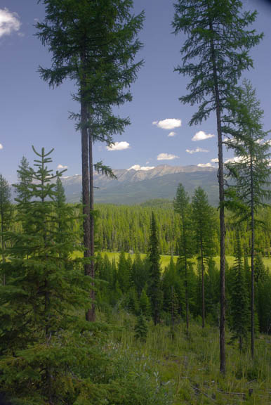 Swan range