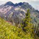 swan_range_01