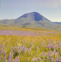 sweetgrass_hills197505