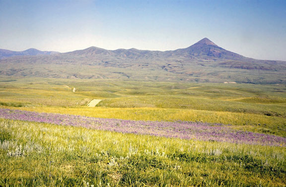 Sweetgrass hills
