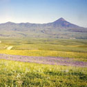 sweetgrass_hills197506