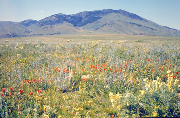 Sweetgrass hills
