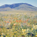 sweetgrass_hills197512