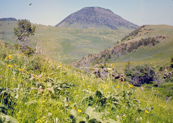 Sweetgrass hills