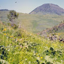 sweetgrass_hills197514