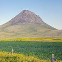 sweetgrass_hills197517