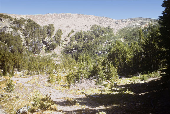Tobacco Root mountains
